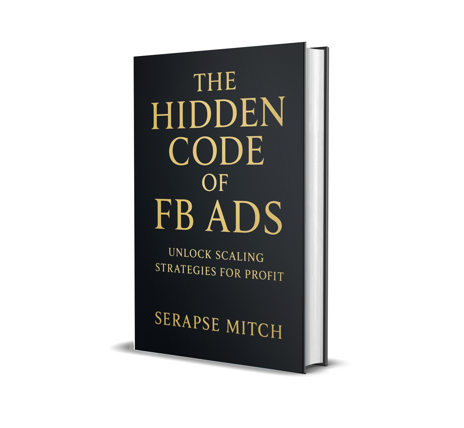 The Hidden Code of FB Ads 3D Book